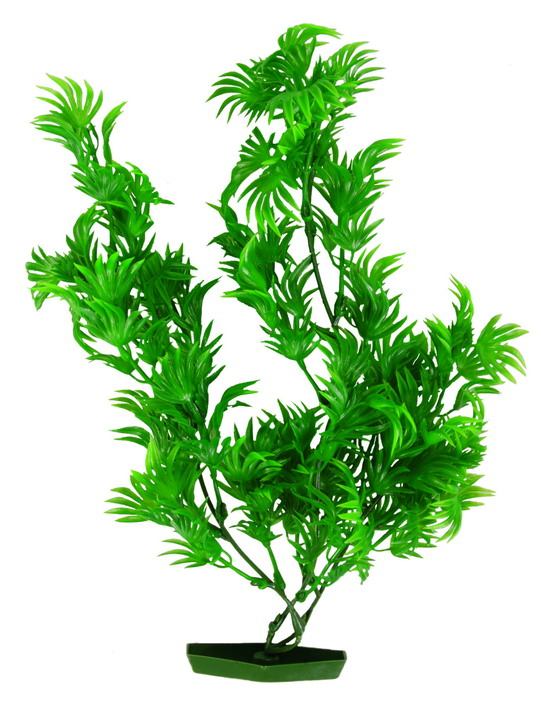 PLANTA ACUARIS V-117.30cm. P.BON