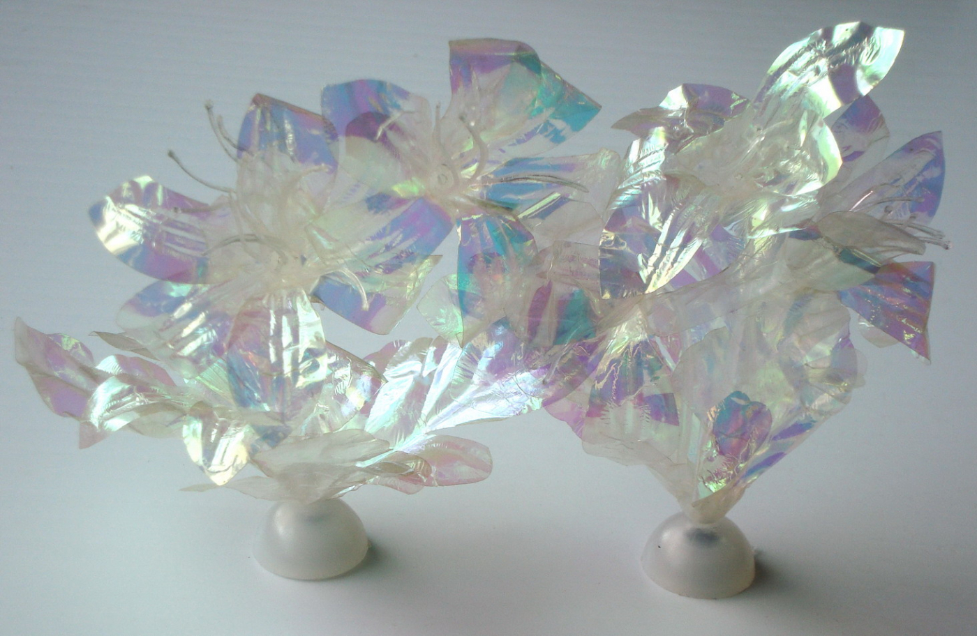 PLANTA FANTASIA PET BON