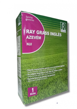 SEMILLA RAY-GRASS PAQUETE  1 KG.