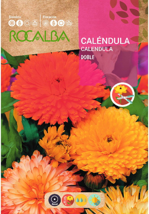 SEMILLA CALENDULA DOBLE     10ud