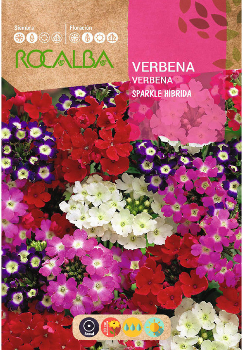 SEMILLA VERBENA SPARKLE HIB.10ud