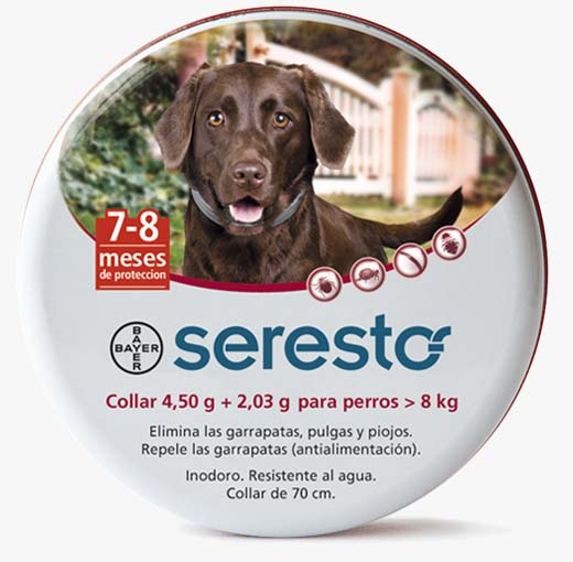 SERESTO LATA PERRO >8kg RAZA GR
