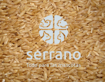 AVENA    25x300g BOLSA