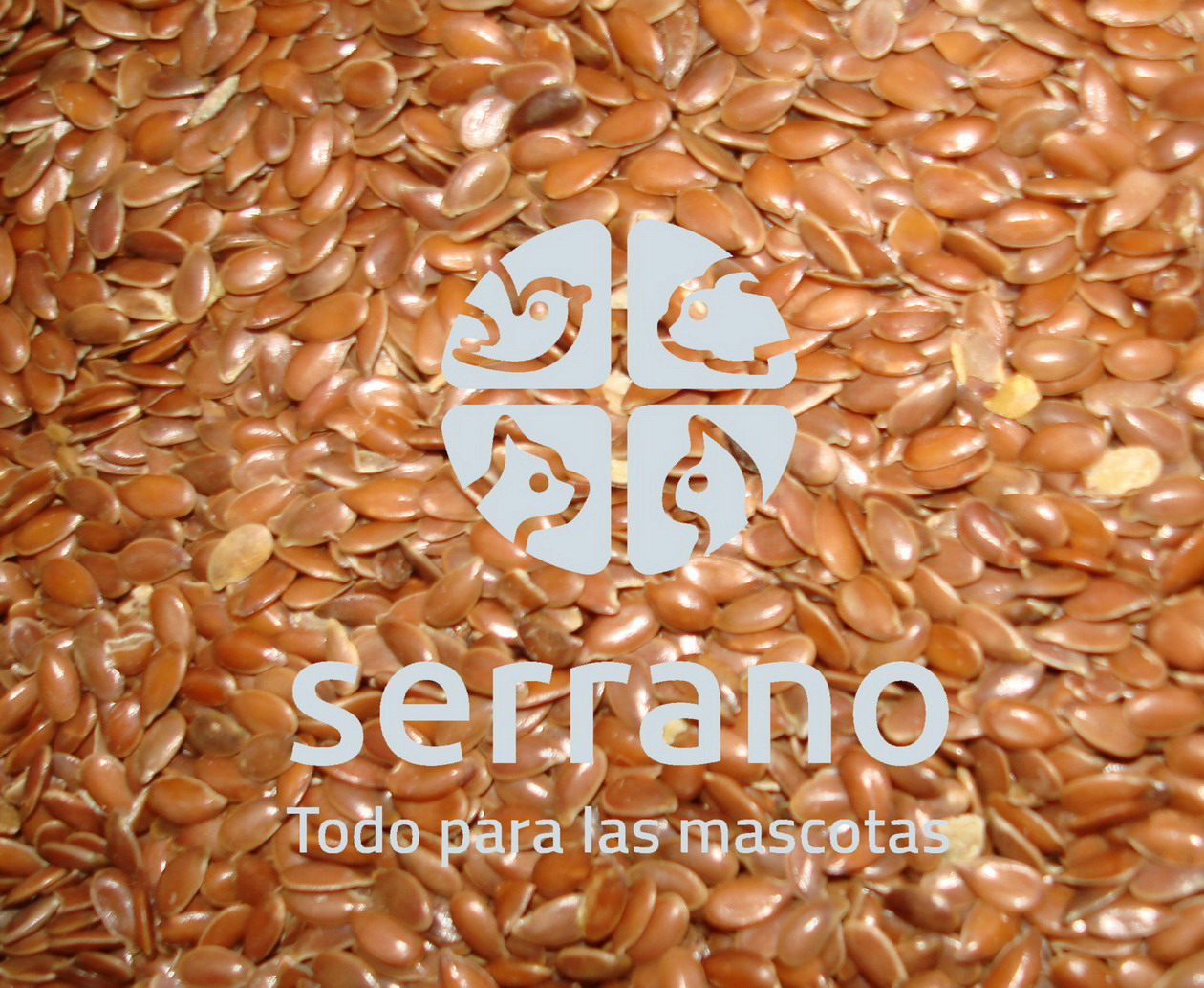 LINAZA   10kg GRANEL