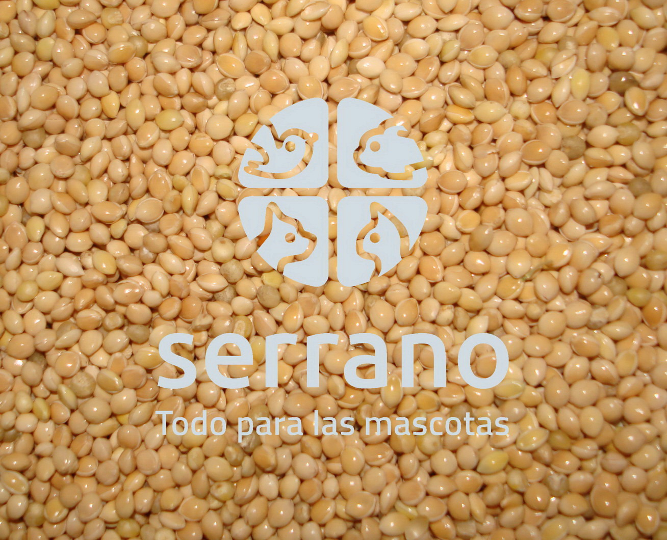 MIJO BLANCO      10kg GRANEL