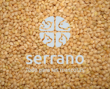 MIJO BLANCO      10kg GRANEL