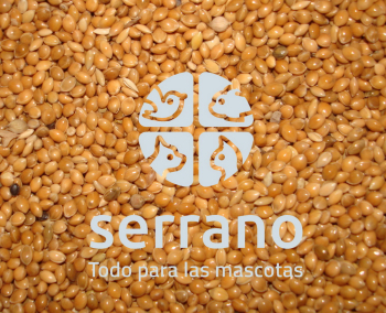 MIJO AMARILLO  25x1kg BOLSA