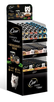 EXPOSIT CESAR QUARTER 2024 FA37W - 1