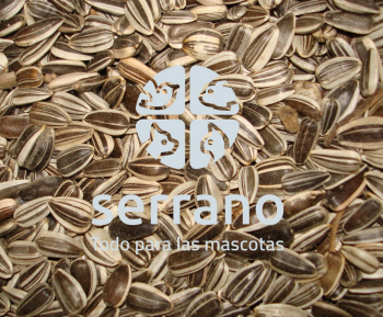 PIPA IREGUI   25x1250ml BOLSA