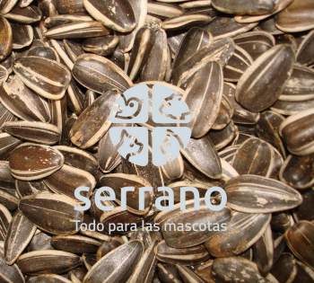 PIPA DE GIRASOL  20kg GRANEL