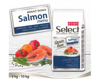 SELECT DOG GRAIN FREE SALMON 2kg