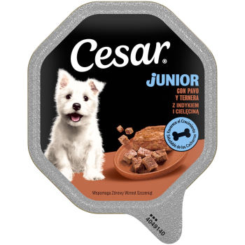 CESAR JUNIOR       14x150g DN48W