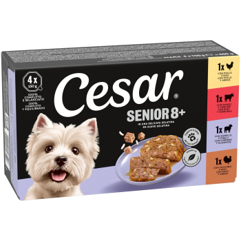 CESAR PACK SENIOR 6x4x150g DN44B