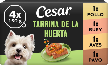 CESAR PAK SEL HUER6x4x150g CP18J