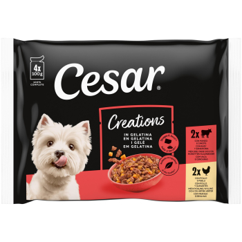 CESAR PAK SEL GELA13x4x100 DM76J