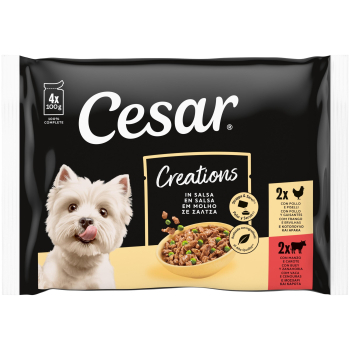 CESAR PAK SEL SALS13x4x100 DM78D