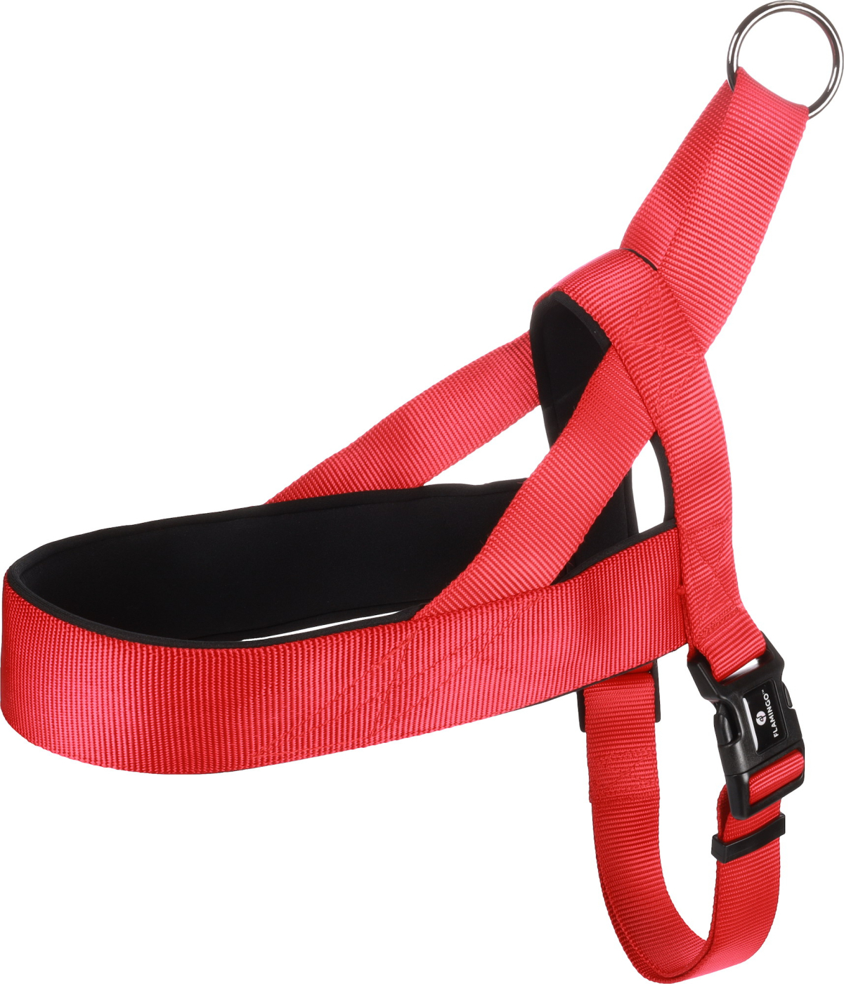 ARNES NORWEGIAN ABBI  S 40-50cm