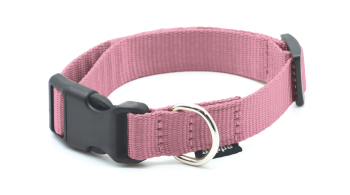 COLLAR NYLON REGULABLE 224003 25 - 3