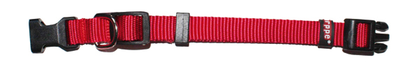 COLLAR NYLON REGULAB.  224003 60