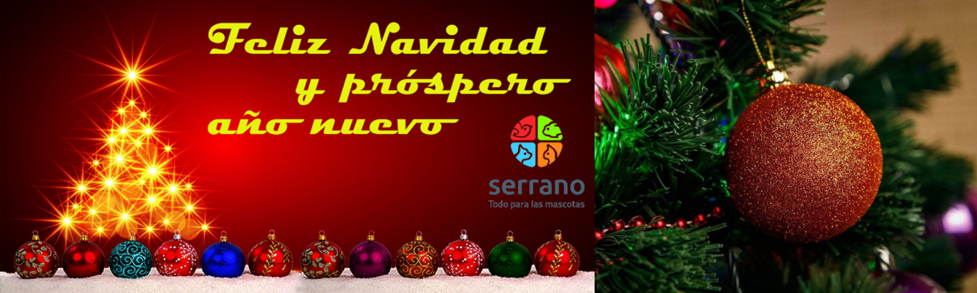 FELIZ NAVIDAD 21/22