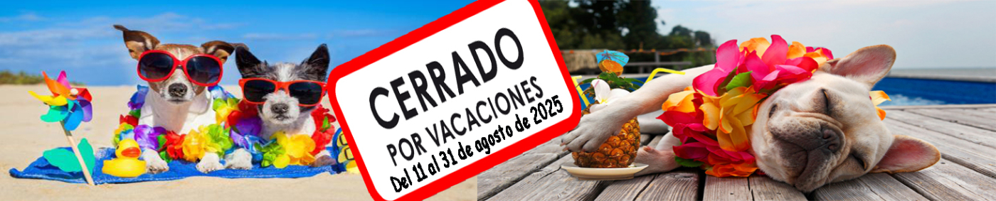 VACACIONES 2025
