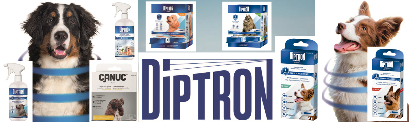 DIPTRON