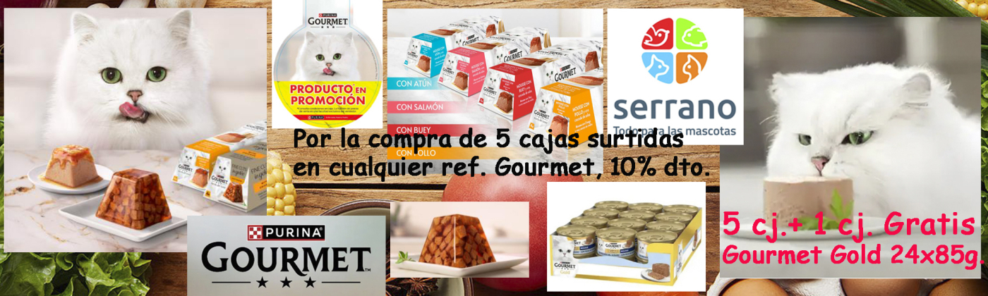 NESTLE GOURMET JUN26