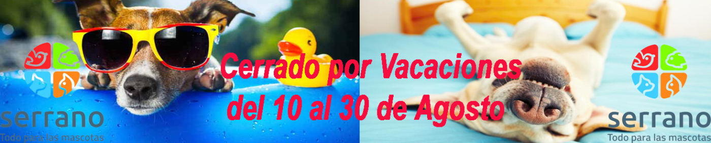 VACACIONES 2026