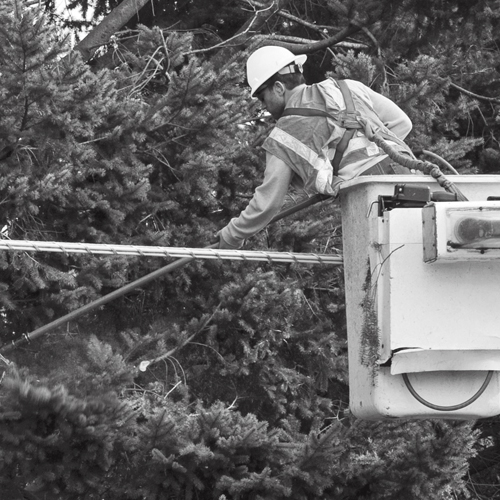 Mantenimiento seguro en redes aéreas