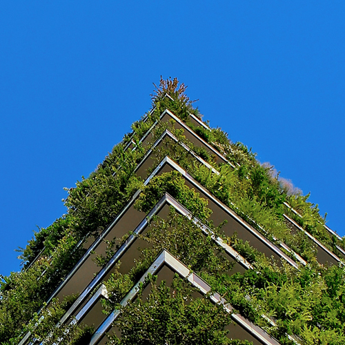 Cómo los tejados verdes impulsan la energía solar