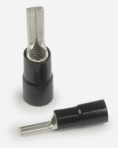 10109 CPP