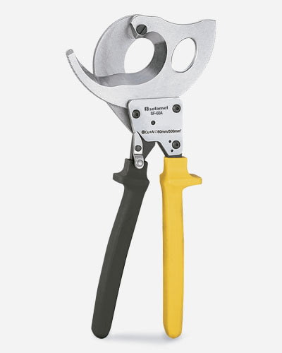 20101 SF-60 A