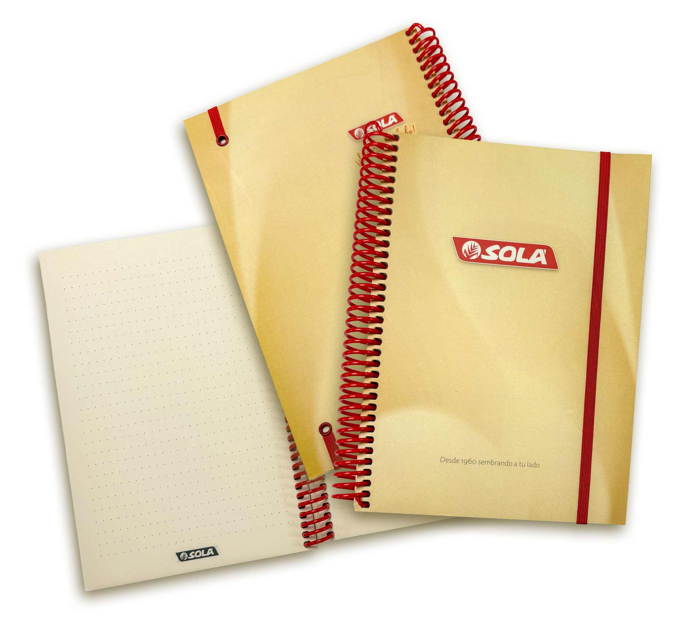 LIBRETA DIN-A6 (duplicate) - 
