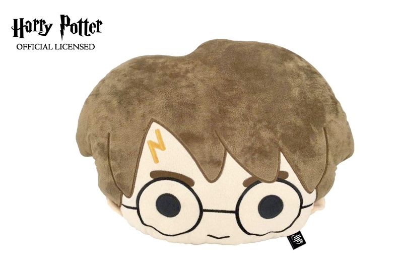 Coussin Harry Potter