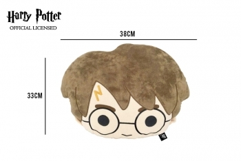 Coussin Harry Potter - 1