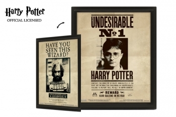 Poster 3D Harry Potter - 1