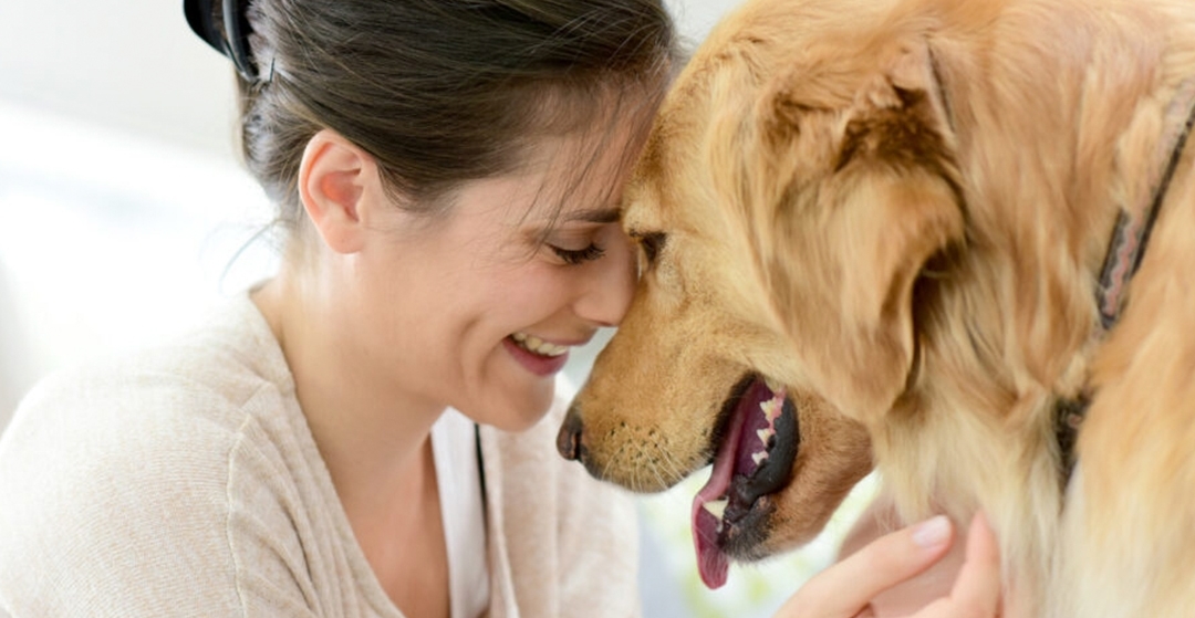 Las mascotas reducen el estrés durante periodos de confinamiento