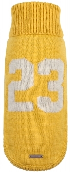 SWEATER FANT COLLEGE YELLOW