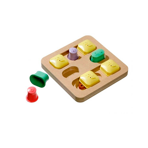 JUEGO INTELIGENCIA DOG BRAIN TRAIN QUADRO