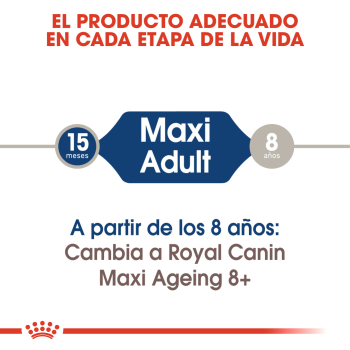 MAXI ADULT CAJA 10U - 4