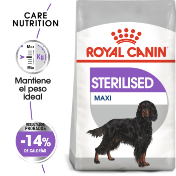 STERILISED MAXI CANINE - 1