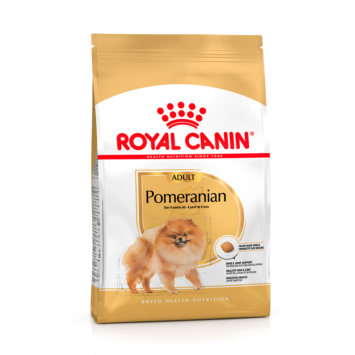 POMERANIAN ADULT