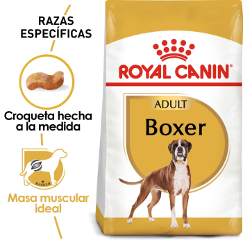 BOXER ADULT - 1