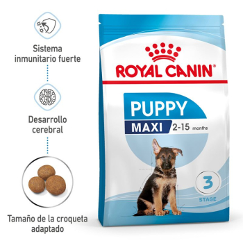 PUPPY MAXI - 1