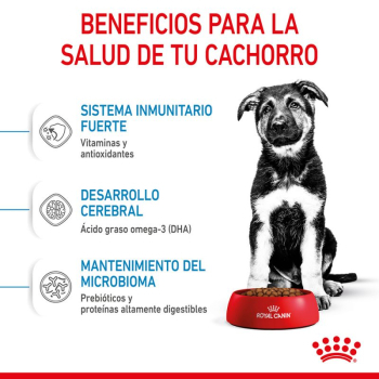 PUPPY MAXI - 5