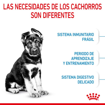 PUPPY MAXI - 6