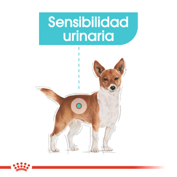 URINARY CARE CANINE CAJA 12U - 3