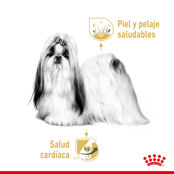 SHIH TZU DOG CAJA 12U - 4