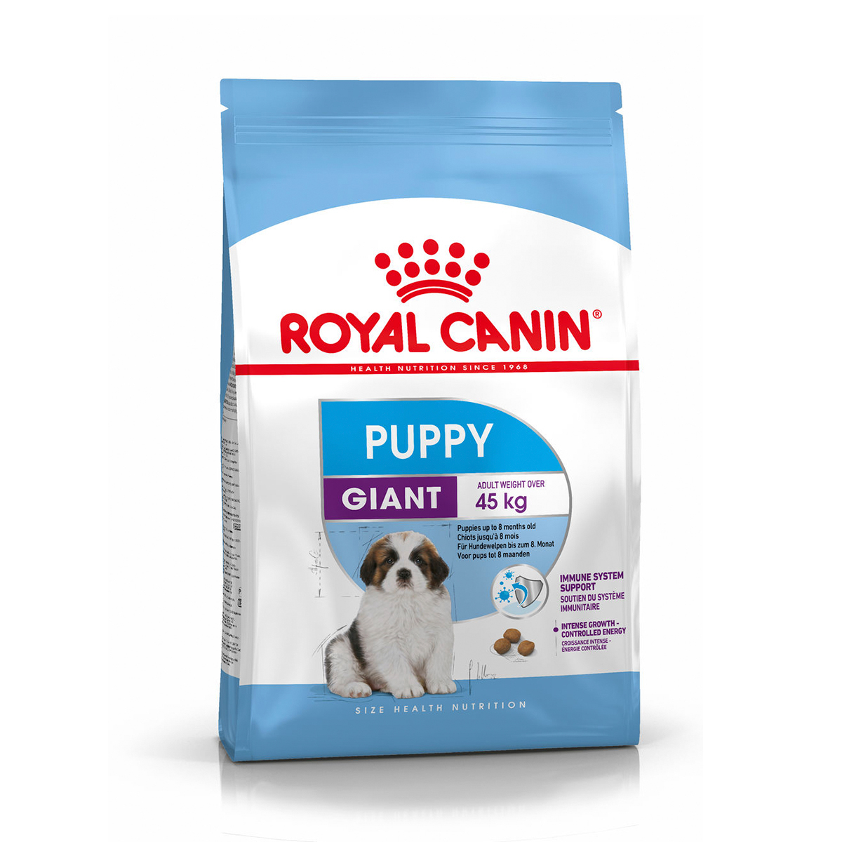 GIANT PUPPY