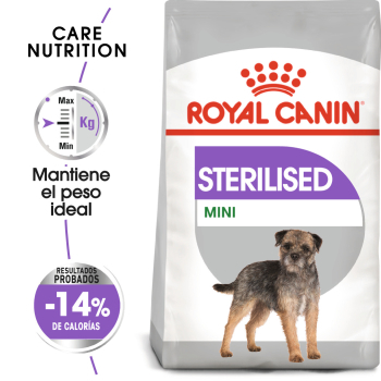 STERILISED MINI CANINE - 1